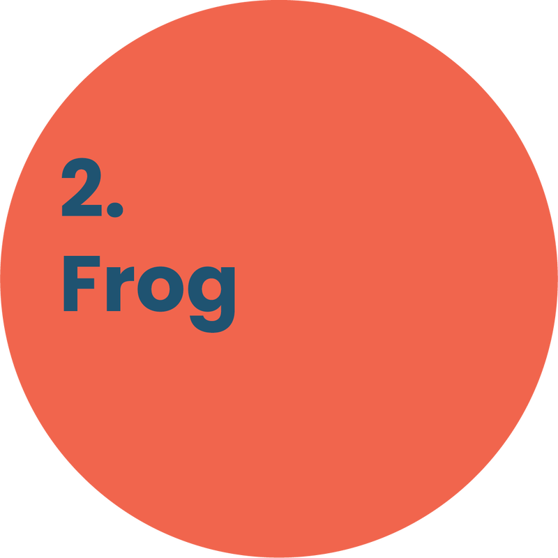2. Frog