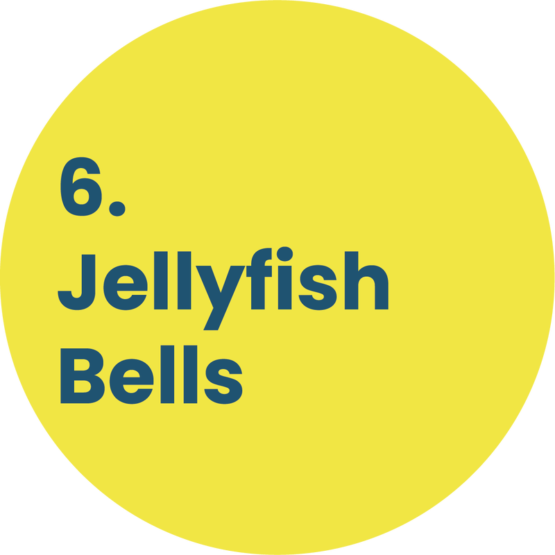 6. Jellyfish Bells