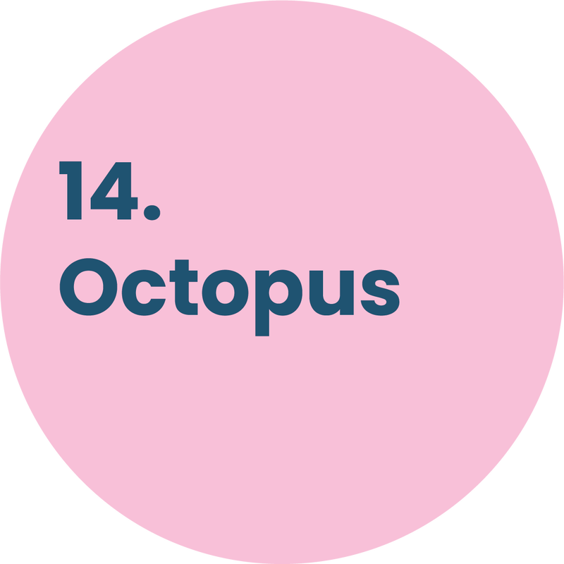 14. Octopus
